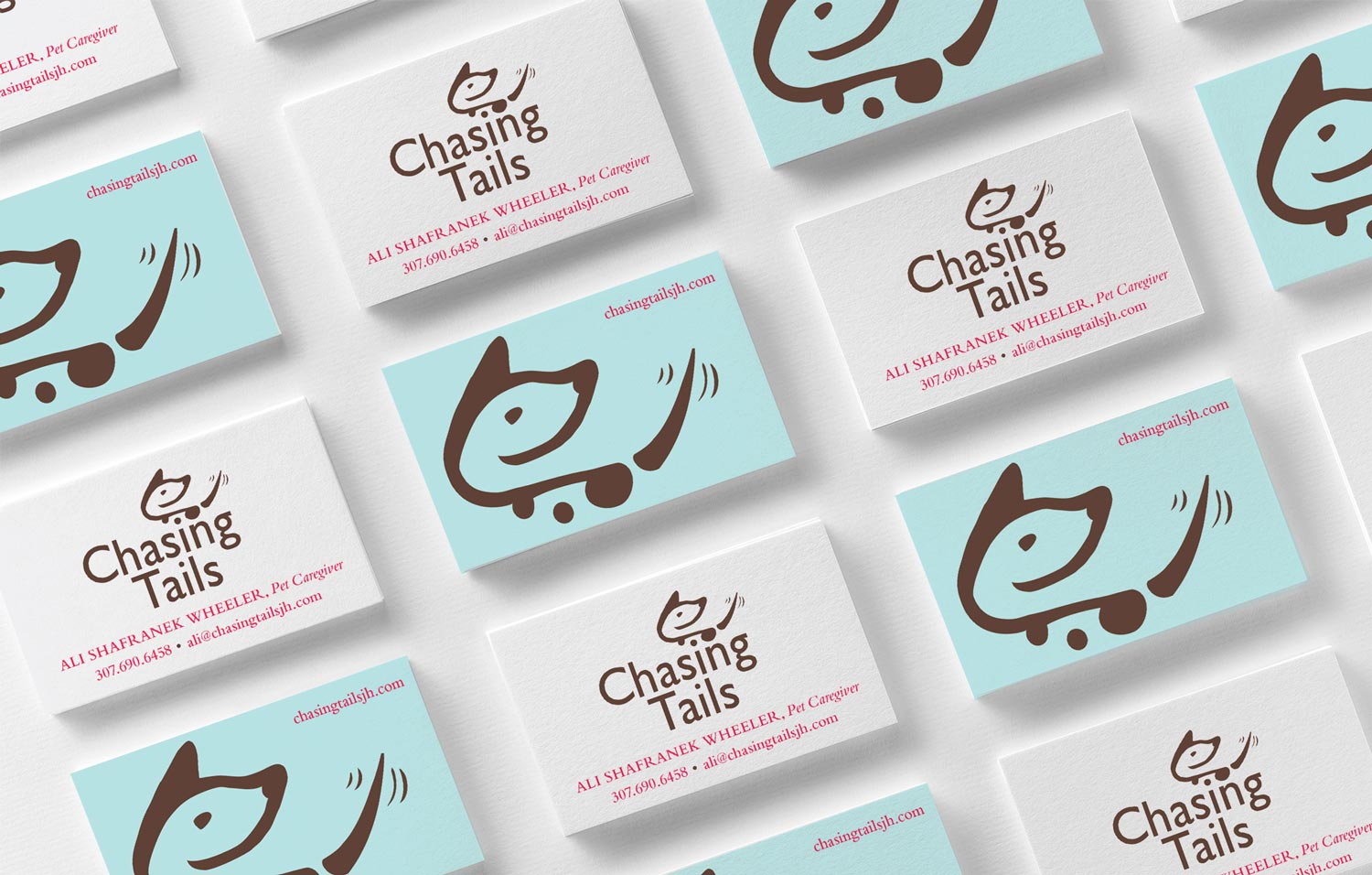Chasing Tails Branding and Graphic Design Projects