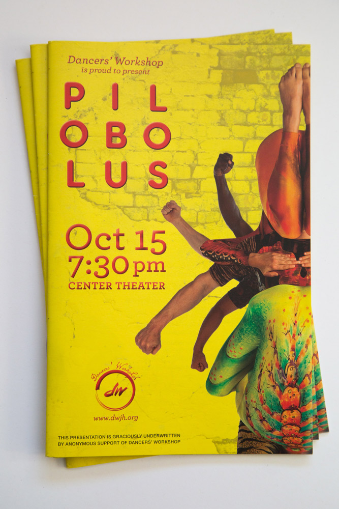 Pilobolus Event Marketing