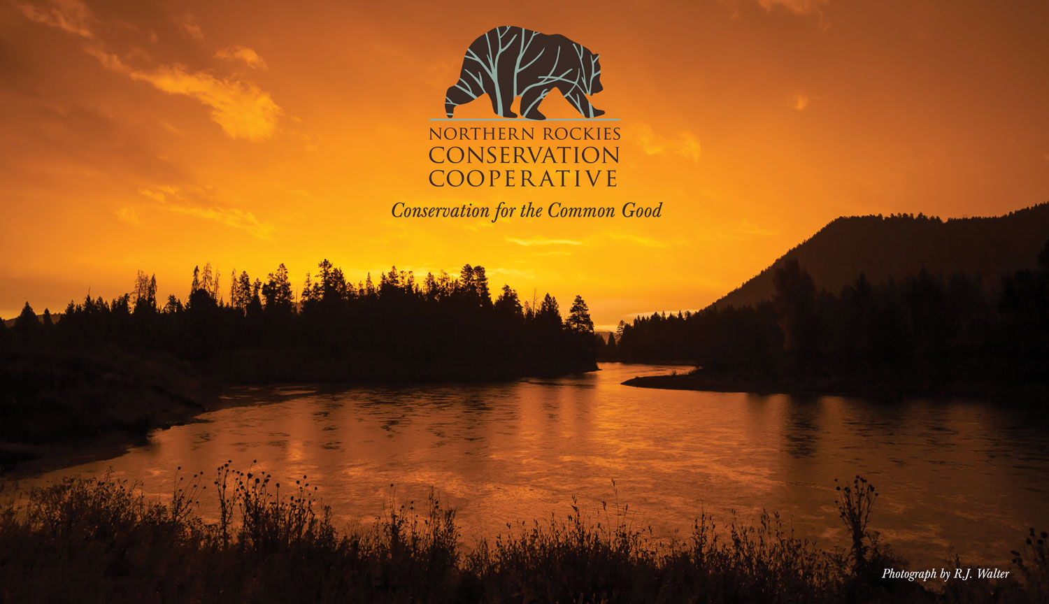 Northern Rockies Conservation Cooperative